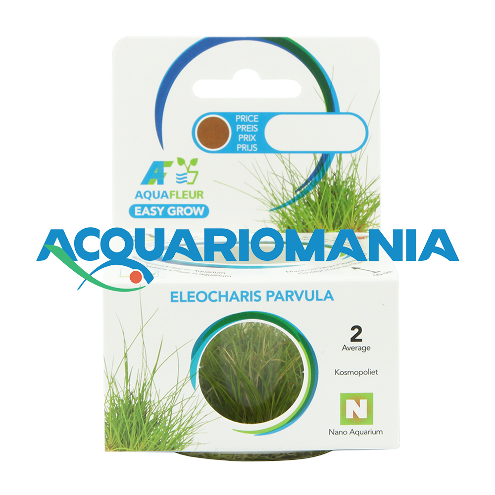 Aquafleur Easy Grow Pianta Eleocharis Parvula in Vitro Cup