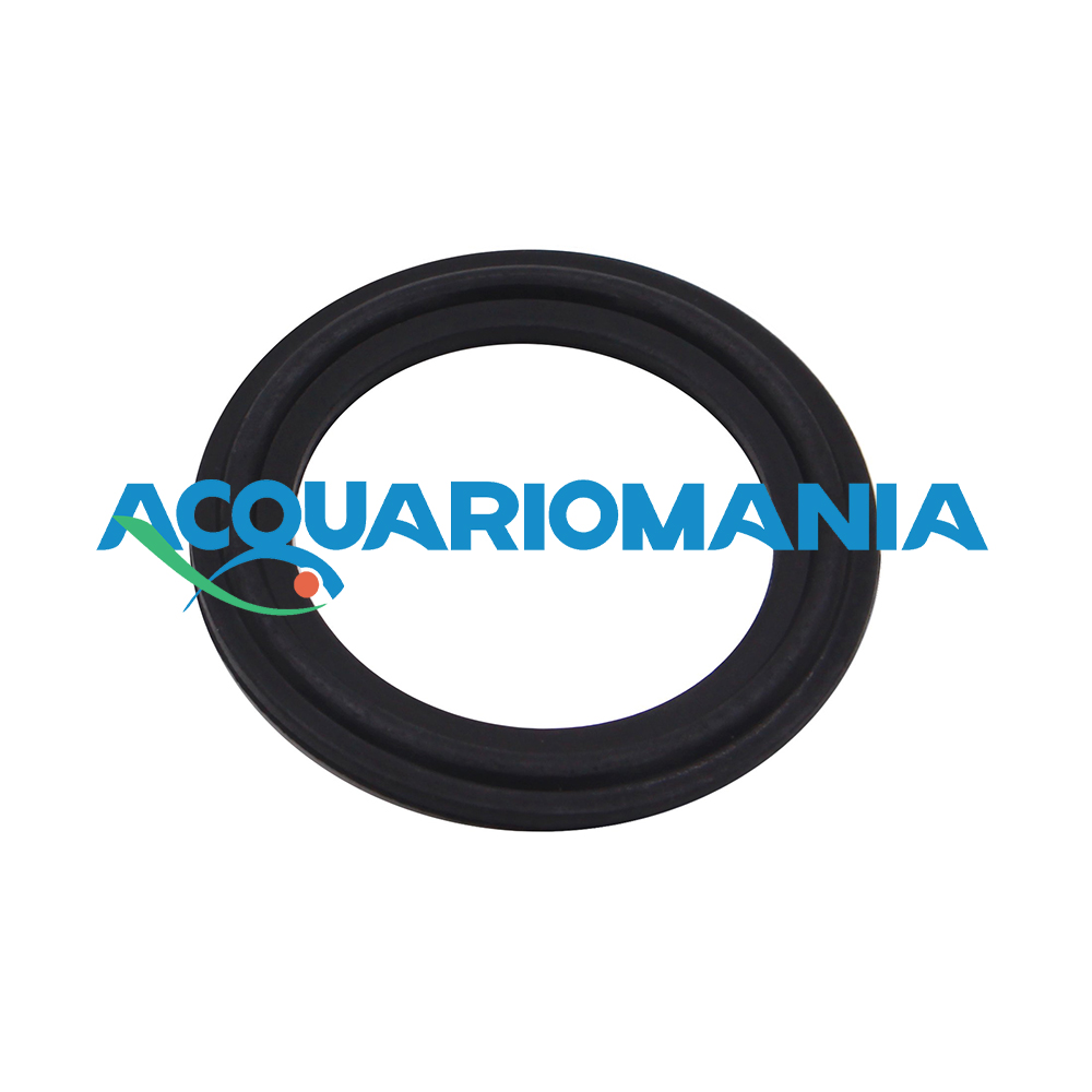 Oring Guarnizione per attacco CO2 Bombola ricaricabile