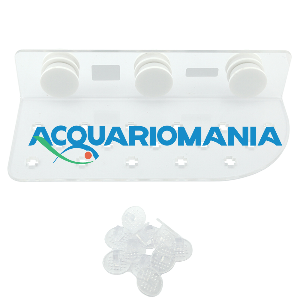 Skimz Porta Talee magnetico in acrilico con 16 basette