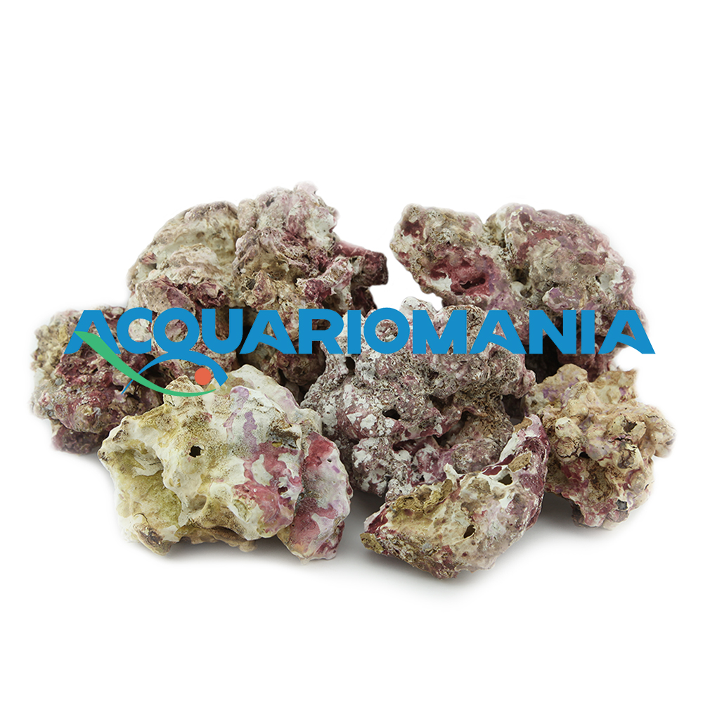 Roccia Light Sea Rocks sintetica ultraleggera per acquari marini prezzo al Kg