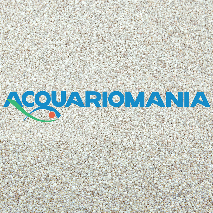 Askoll Pure Sand Zen ghiaia circa 1mm per allestimento acquario 4Kg