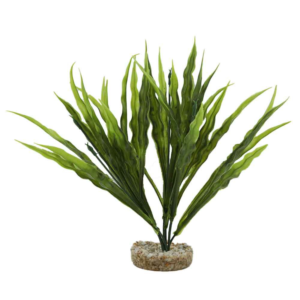 Sydeco Amazonia Pianta in plastica 12 cm