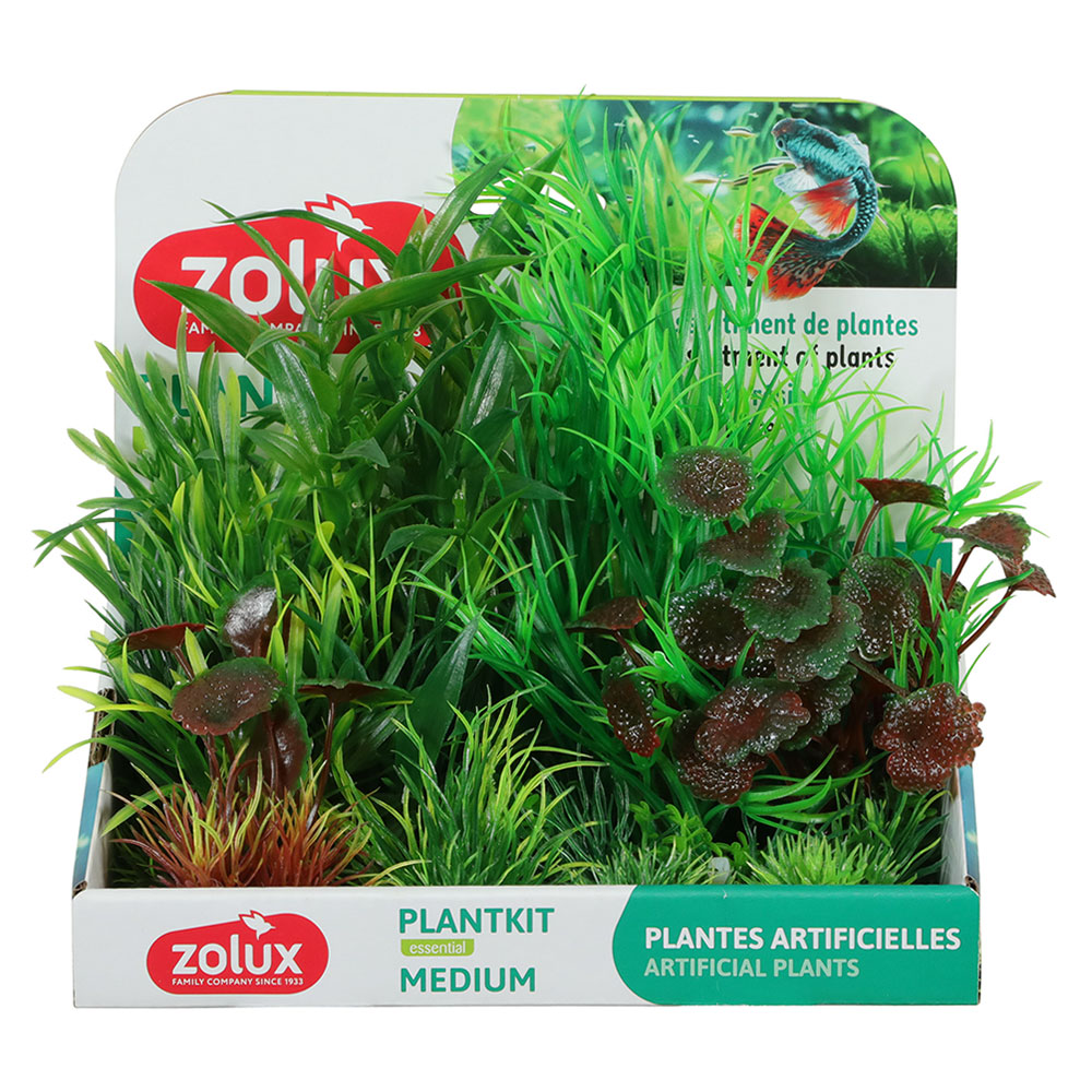 Zolux PlantKit Medium 2 Assortimento 6 piantine in plastica