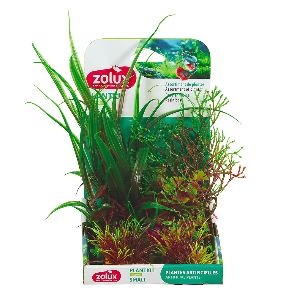 Zolux PlantKit Small 3 Assortimento 3 Piantine in plastica