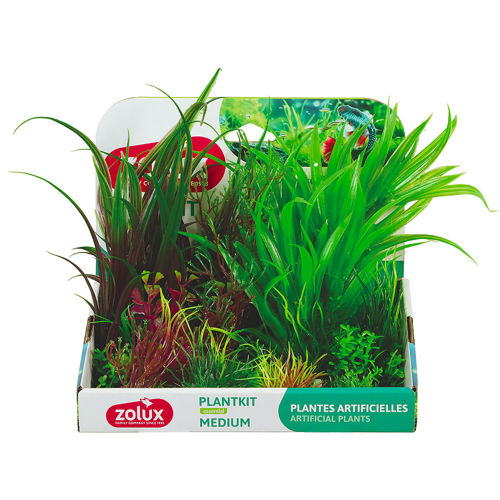 Zolux PlantKit Medium 3 Assortimento 6 piantine in plastica