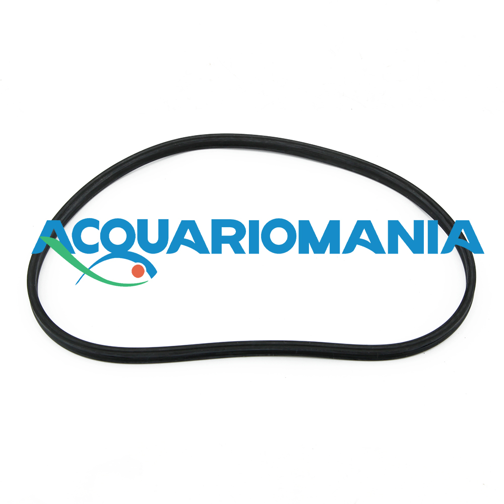 Prodac Oring Testata Filtro esterno DF700/800