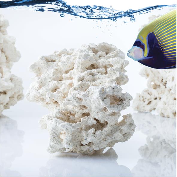 Carib Sea South Seas Base Rock Cartone 18Kg circa