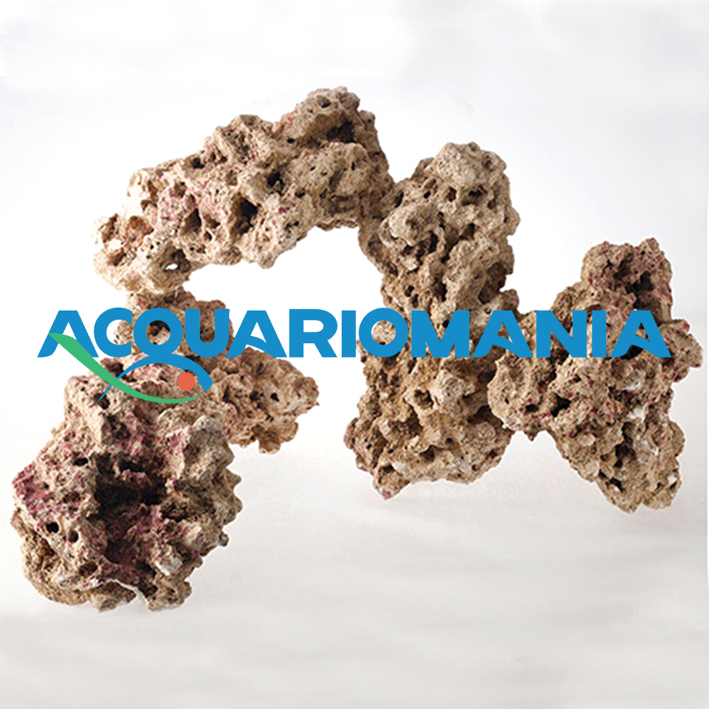 Carib Sea Moani Dry Live Rock™ Cartone 18Kg circa