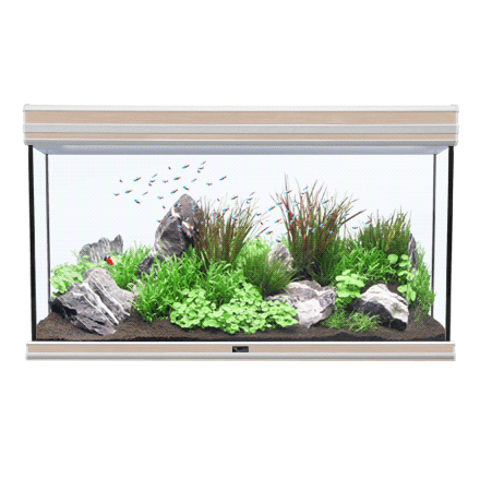 Aquatlantis Fusion 100 Acquario Walnut 188L