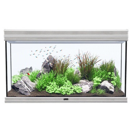 Aquatlantis Fusion 100 Acquario Concrete 188L