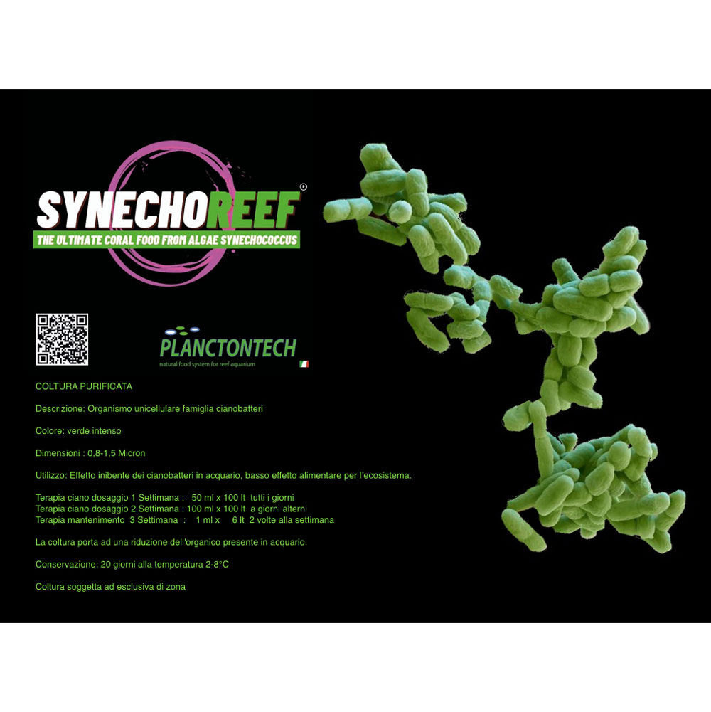 Planctontech Synecho Reef NEW Fitoplancton Vivo contro i Cianobatteri  in bottiglietta 500ml