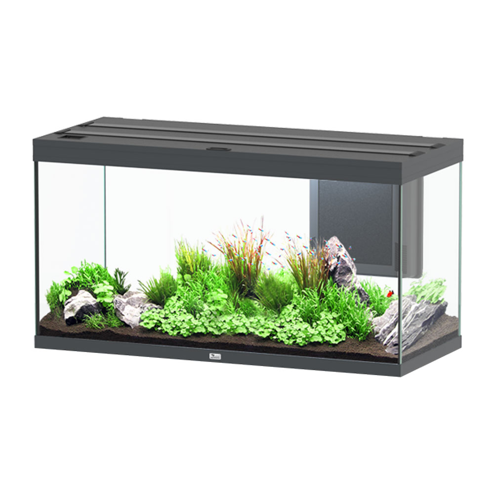 Aquatlantis Volga 350 Acquario Antracite 350 litri