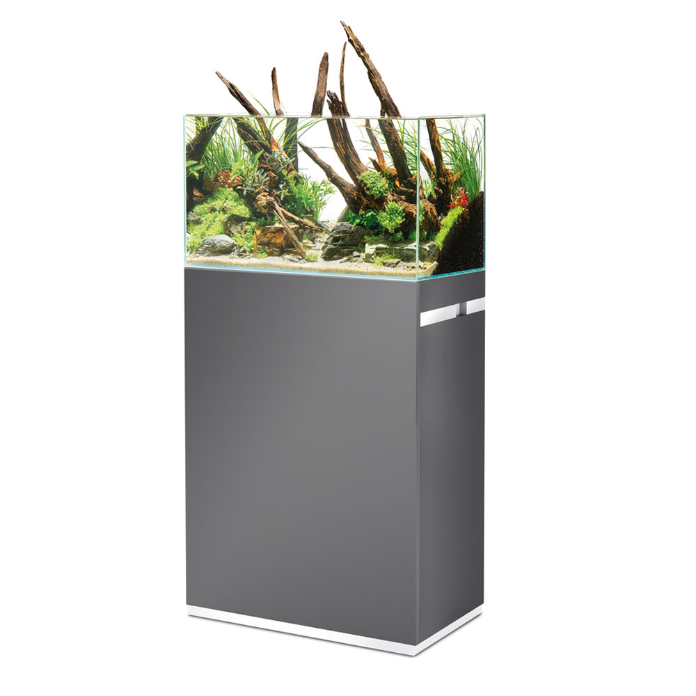 Oase ScaperLine 60 Set Vasca e Supporto grigio