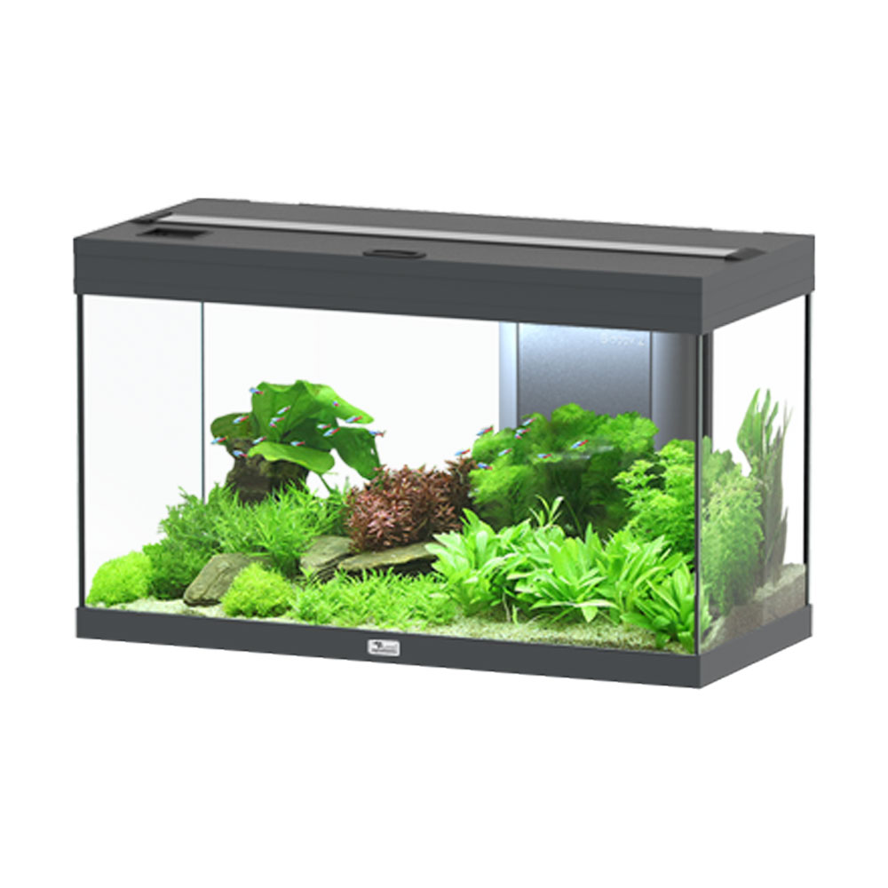 Aquatlantis Volga 125 Acquario Antracite 125 litri