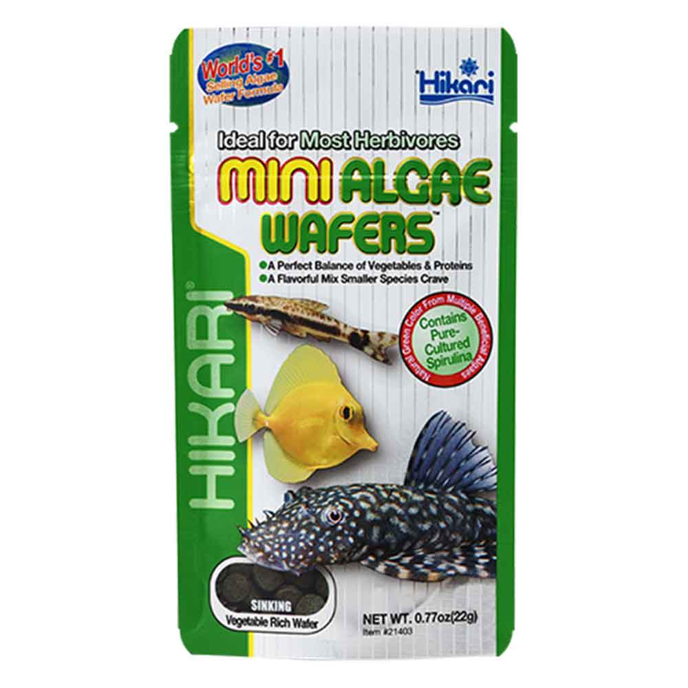 Hikari Mini Algae Wafers da fondo per Erbivori 22gr
