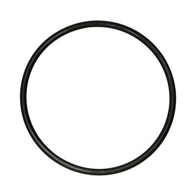 Oase Oring Guarnizione Testata Filtro esterno FiltoSmart 200/300