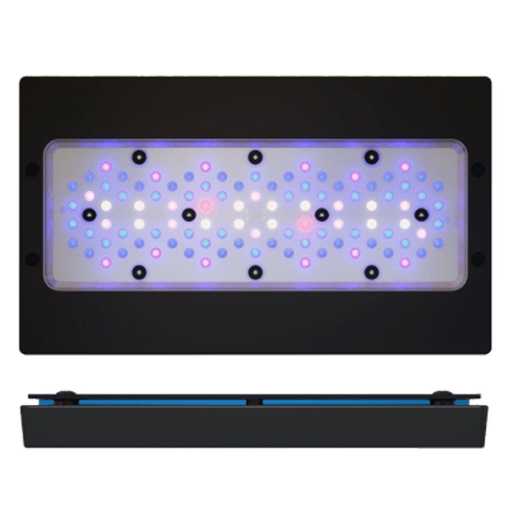 EcoTech Radion XR30W G6 BLU Plafoniera a Led per acquari di barriera 30cm 215W