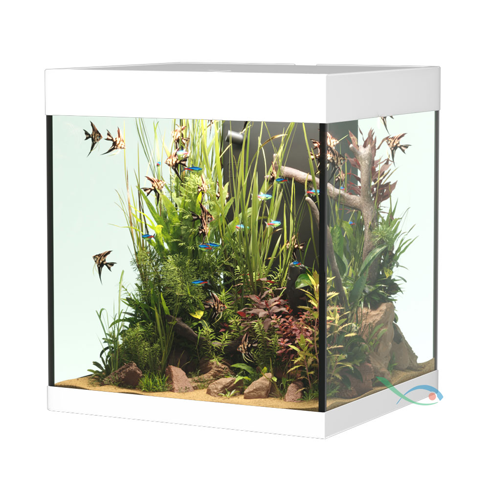 Askoll Opera 80 Acquario completo 80 litri Bianco 45x40x50h cm