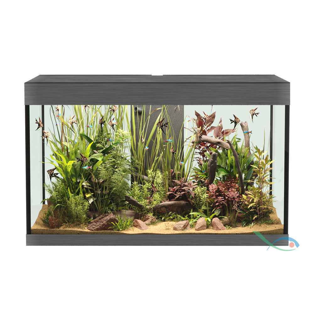 Askoll Opera 150 Acquario completo 150 litri Steel 80x40x50h cm
