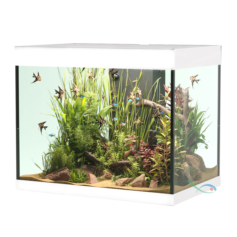 Askoll Opera 110 Acquario completo 110 litri Bianco 60x40x50h cm