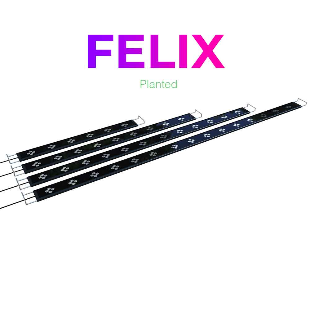 Micmol Felix 60 Planted Lampada Led Cree 30W da 60 a 80cm