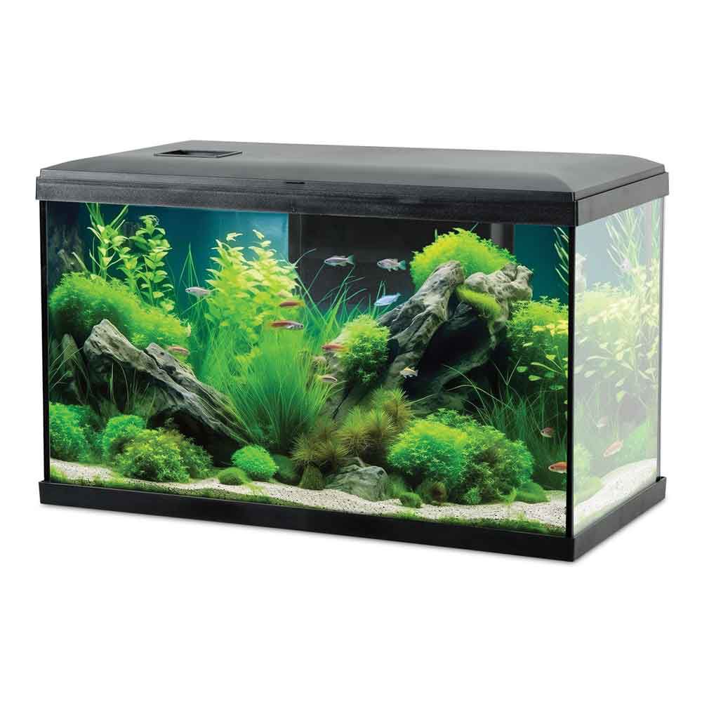 Zolux Acquario Tana 60 Nero Completo 63 Litri 60x30x35h cm