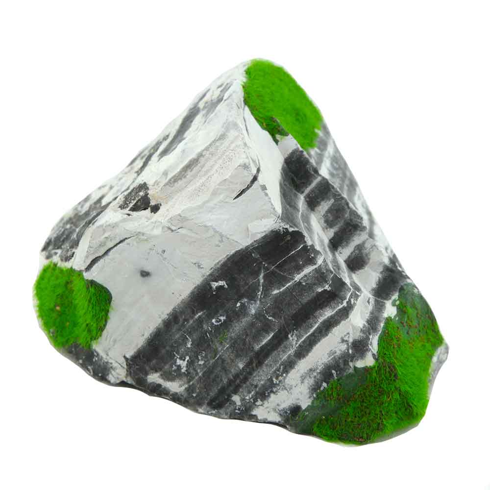 Zolux Ki Pouss Roccia Bicolore M1 con semi di Glossostigma foto reale e misure 13x10x8h cm