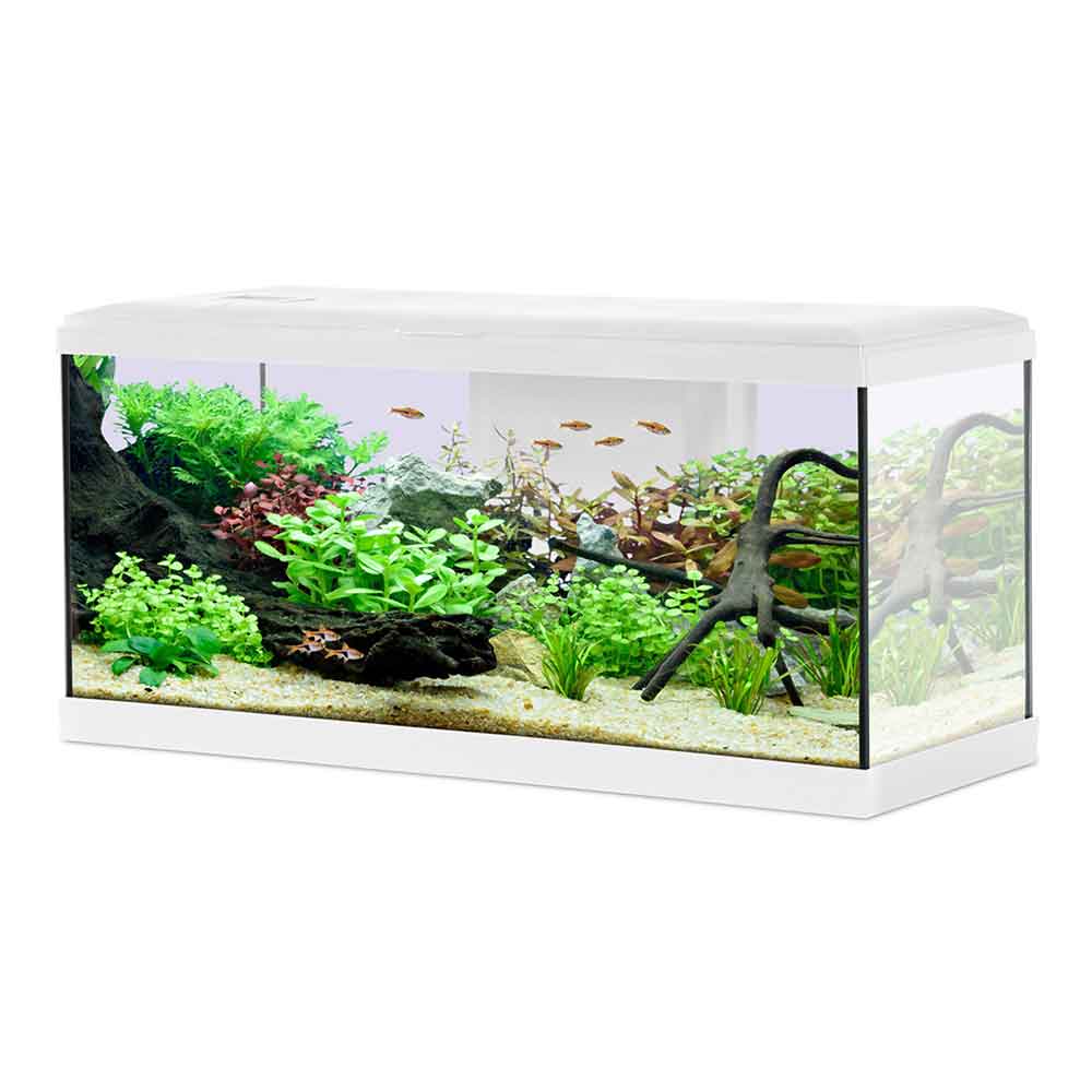 Zolux Acquario Tana 80 Bianco Completo 84 Litri 81x32x39h cm