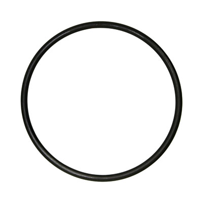 Deltec Ricambio O'ring Bicchiere Schiumatoio 400i