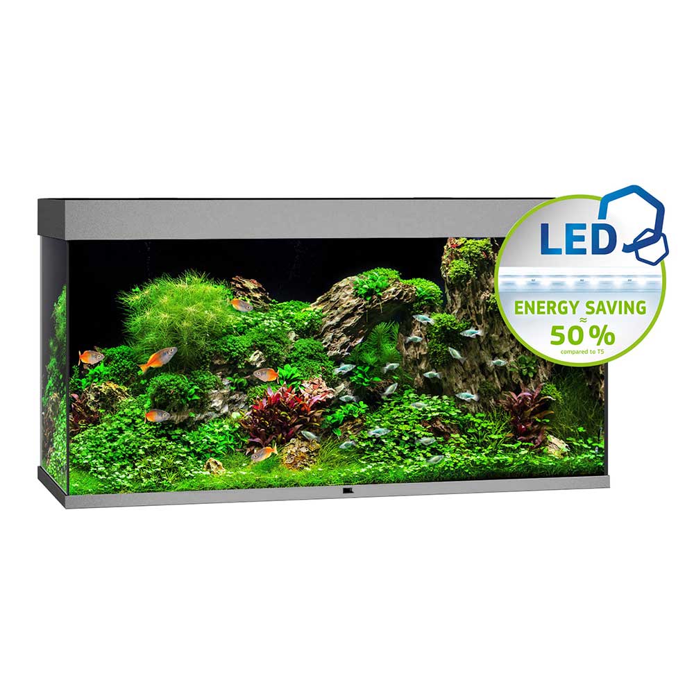 Juwel Acquario Rio 350 Litri LED Grigio 121x51x66H cm