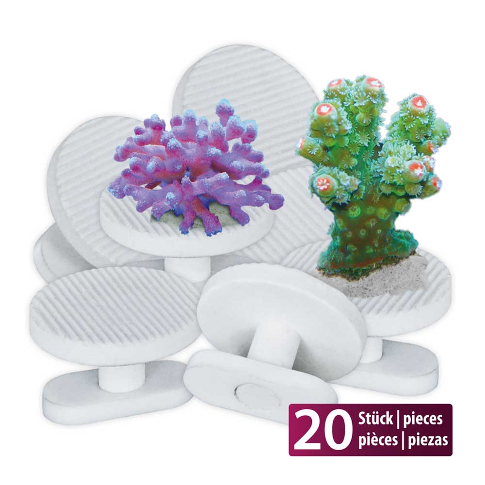 Aquamedic Frag Pins Basette coralli per Frag Board 20pz