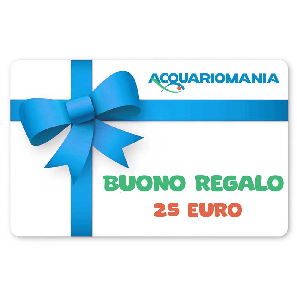 Gift Card Buono Regalo 25 Euro