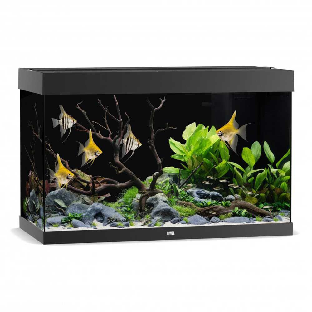 Juwel Acquario Rio 290 Litri LED Nero 101x51x66H cm