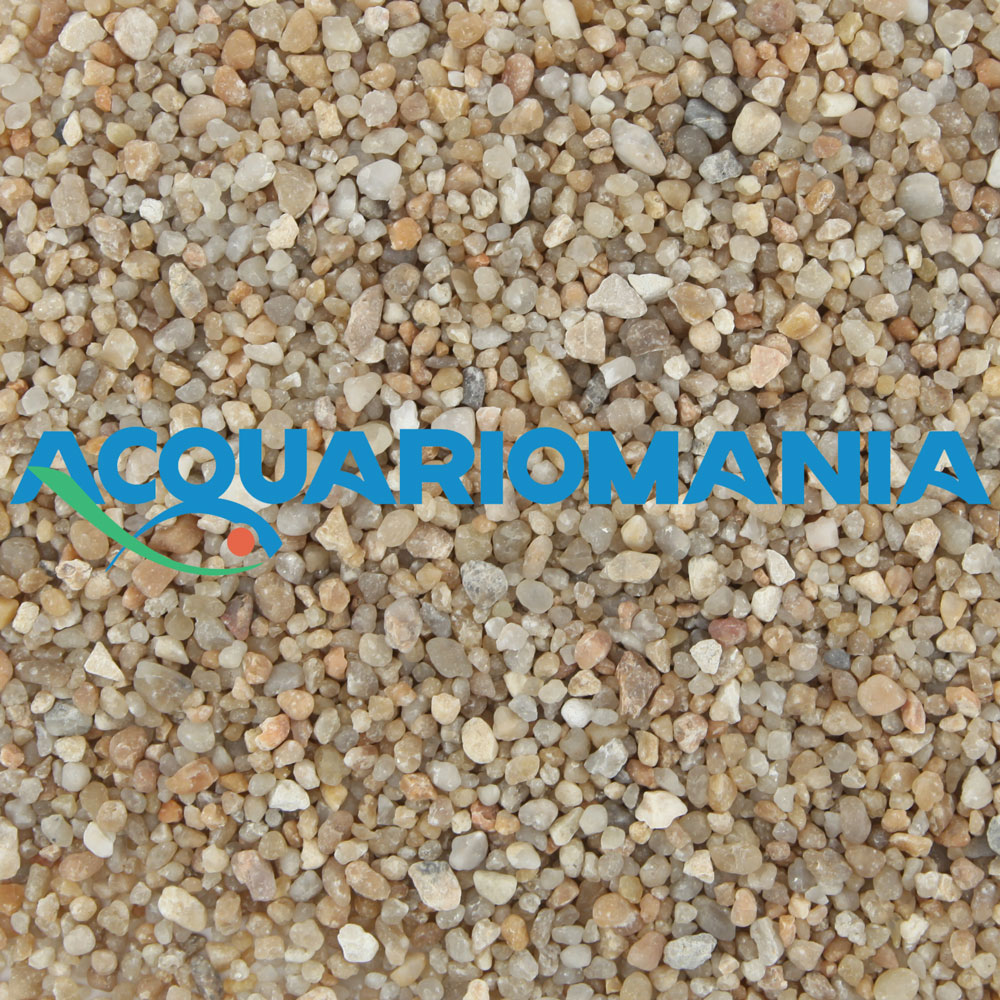 Amtra Sabbia rosella 2-4mm 2Kg