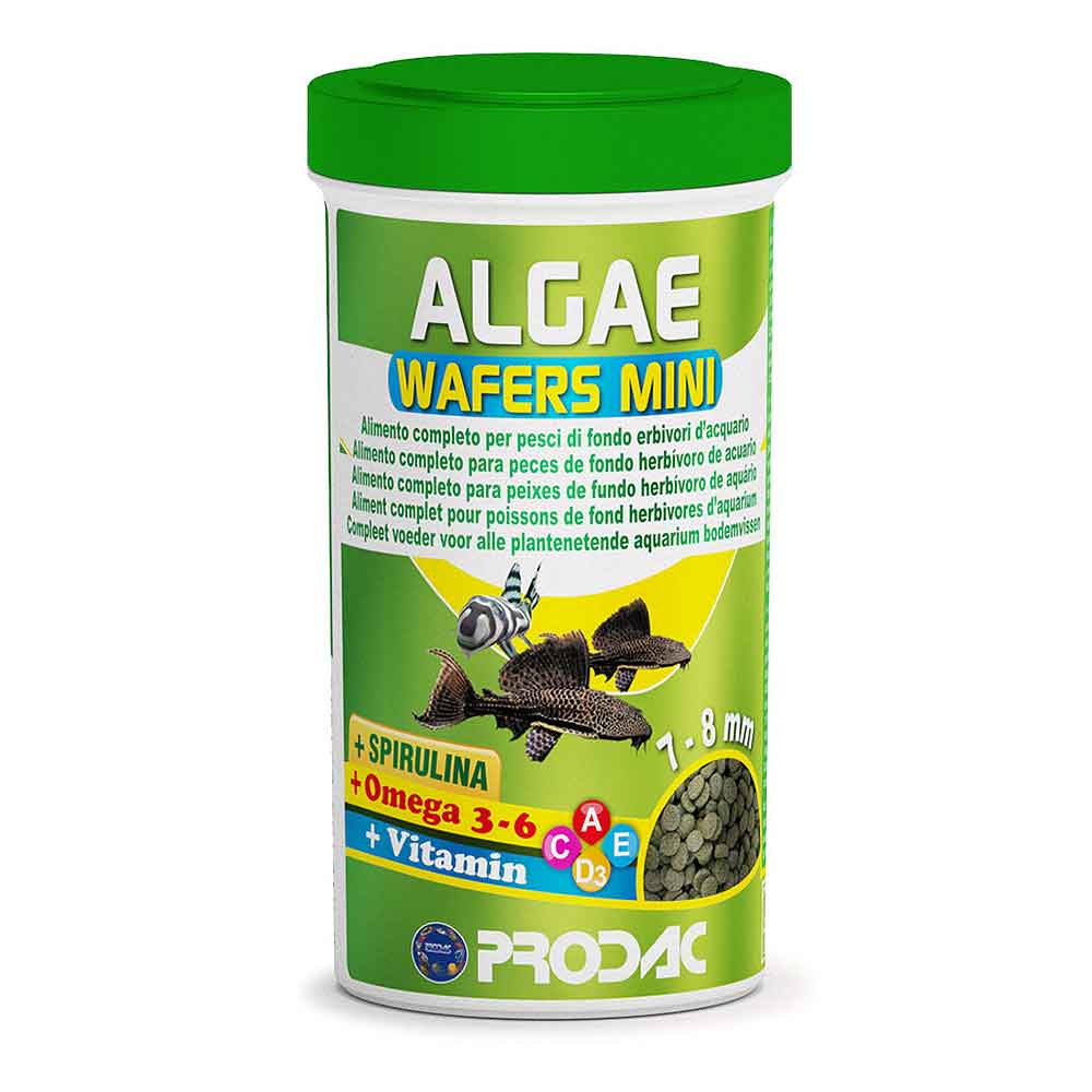 Prodac Algae Wafers Mini Mangime per pulitori vegetariani 250ml 135gr