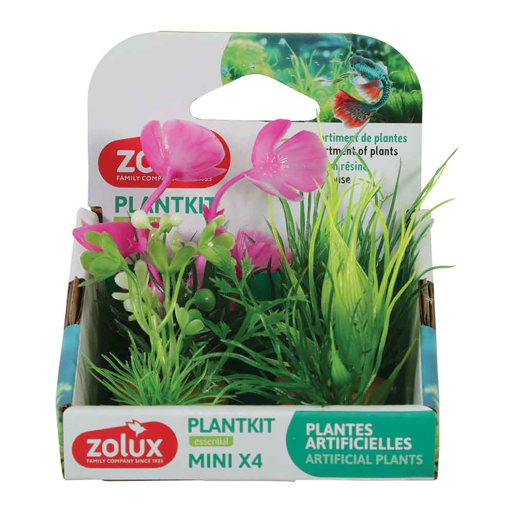 Zolux PlantKit Mini 1 Assortimento 4 piantine in plastica