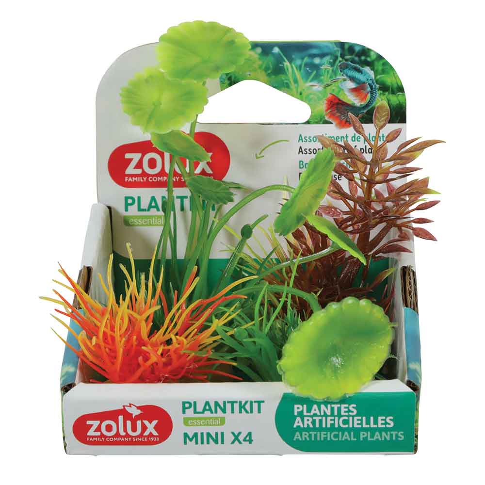 Zolux PlantKit Mini 3 Assortimento 4 piantine in plastica