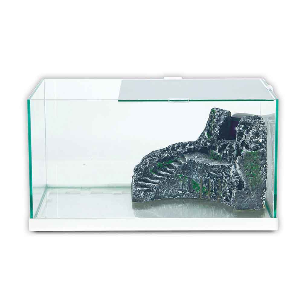Blu Bios Tuga Tuga Tartarughiera in vetro con Isola Filtro 49x25x31h cm