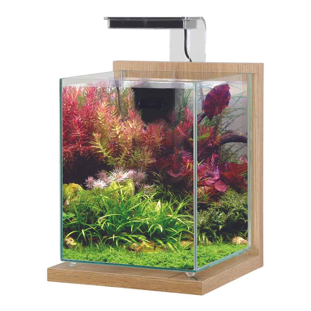Zolux Jalaya 2 Acquario Quercia chiaro 10 litri