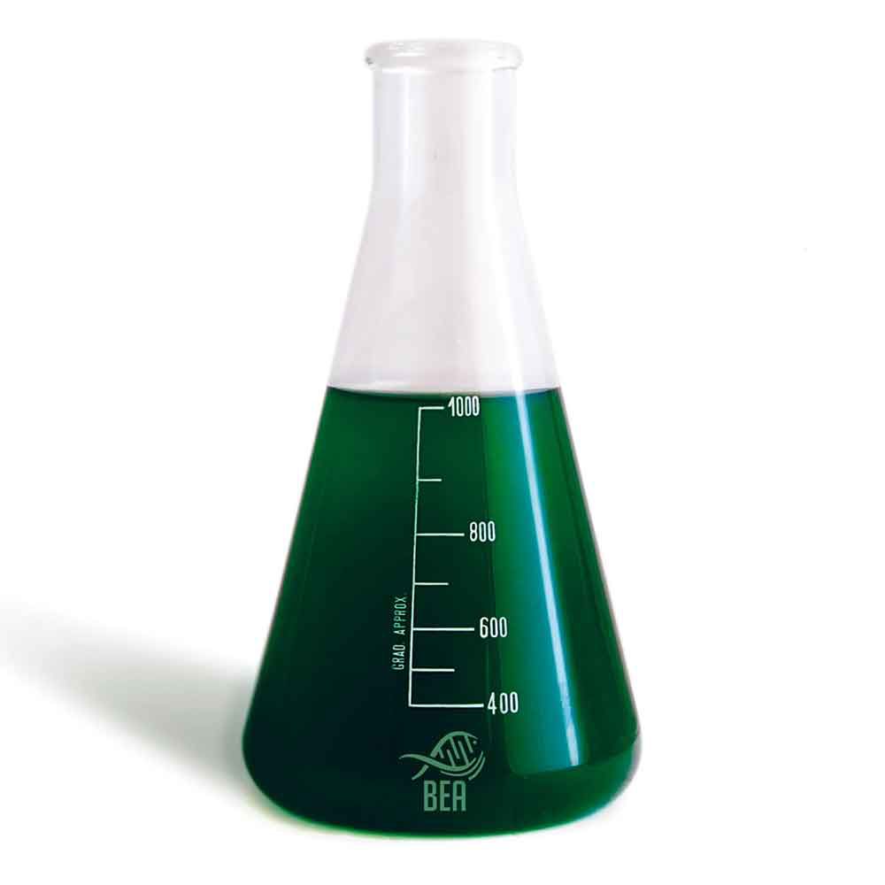 Bea Synecho Mix Fitoplancton contro Cianobatteri 5Lt