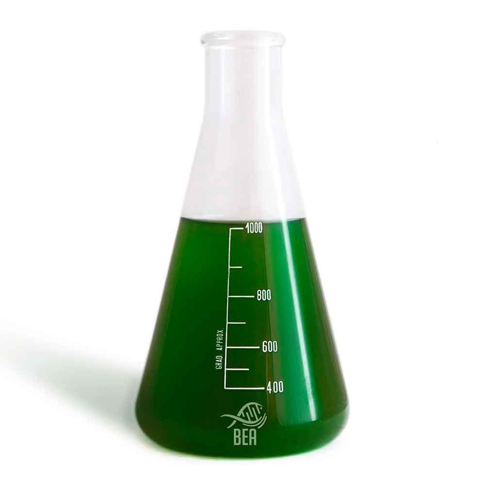 Bea Green Pro Miscela di vari Ceppi di Fitoplancton 5 Lt
