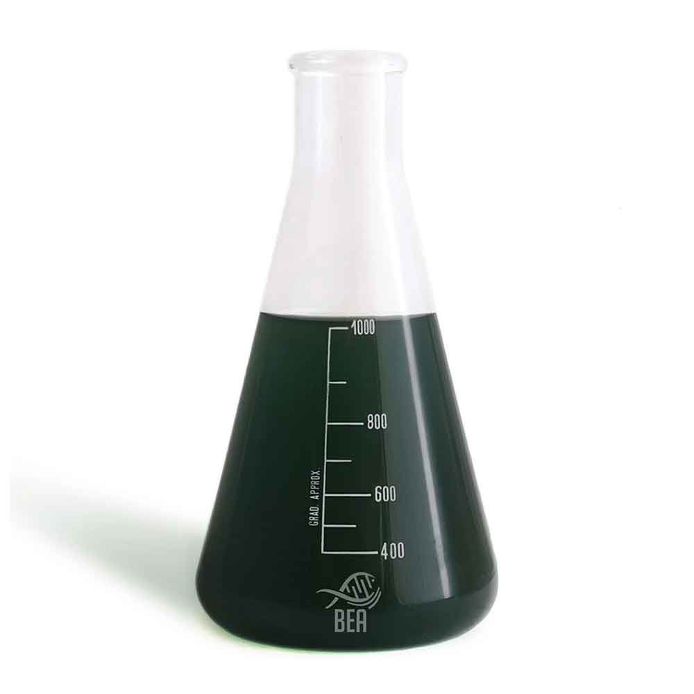 Bea Black Pro Composto di Fitoplancton e Zooplancton per contrastare Cianobatteri Dinoflagellati e Patine 5 Lt