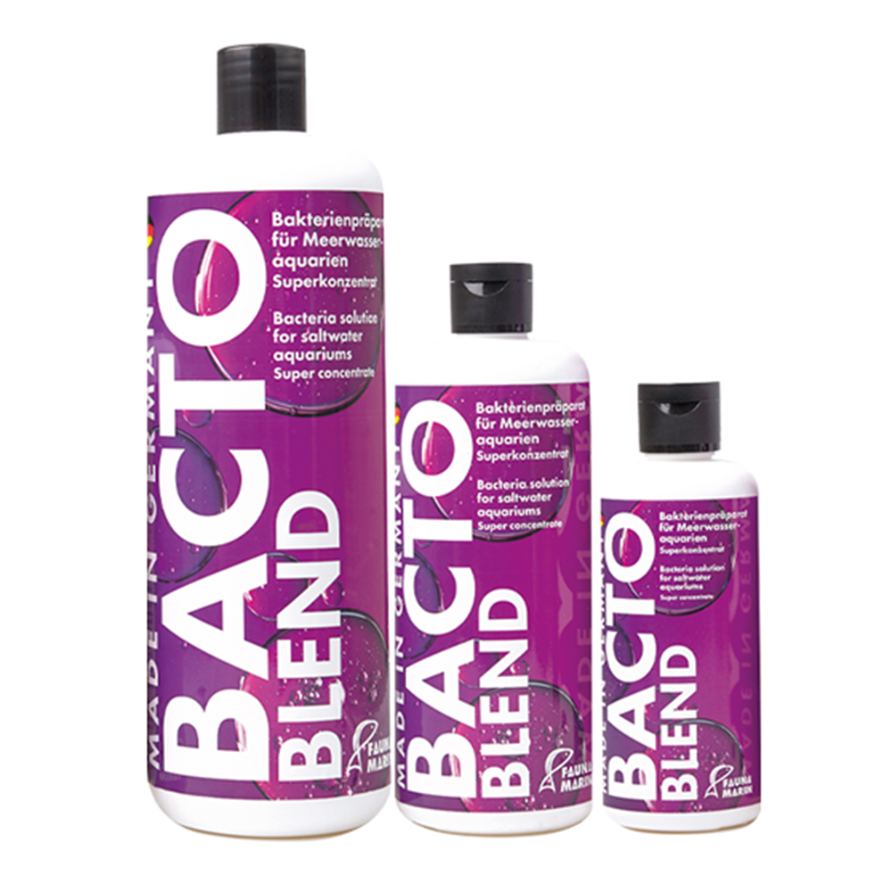 Fauna Marin Bacto Blend Mix di Batteri superconcentrati per marino 500ml