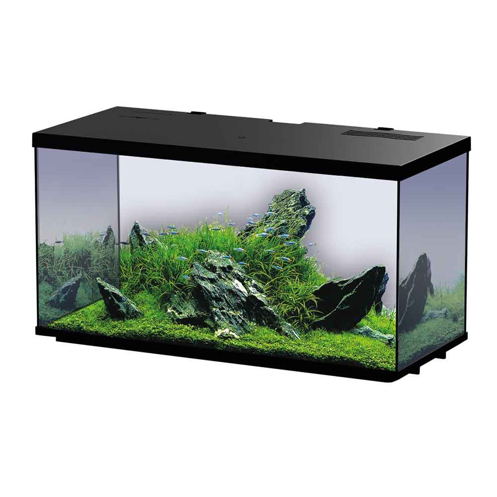 Blu Bios Sirius 51 Acquario completo 60x26x32h cm 45 Litri Nero
