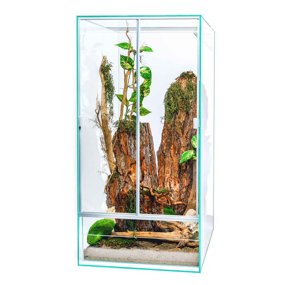 Blu Bios Terrario Paludario Madagascar 45x35x60h cm