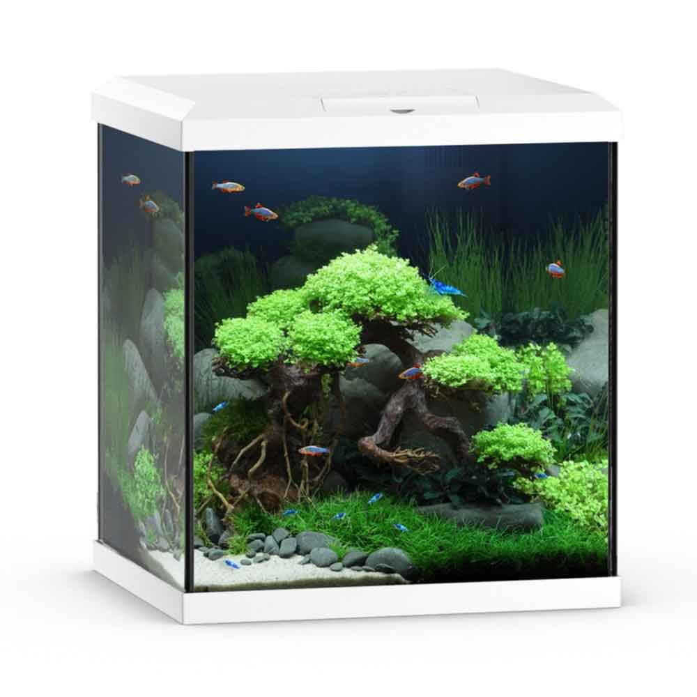 Juwel Acquario Vio Cube 54 Litri LED Bianco 41x36x47H cm