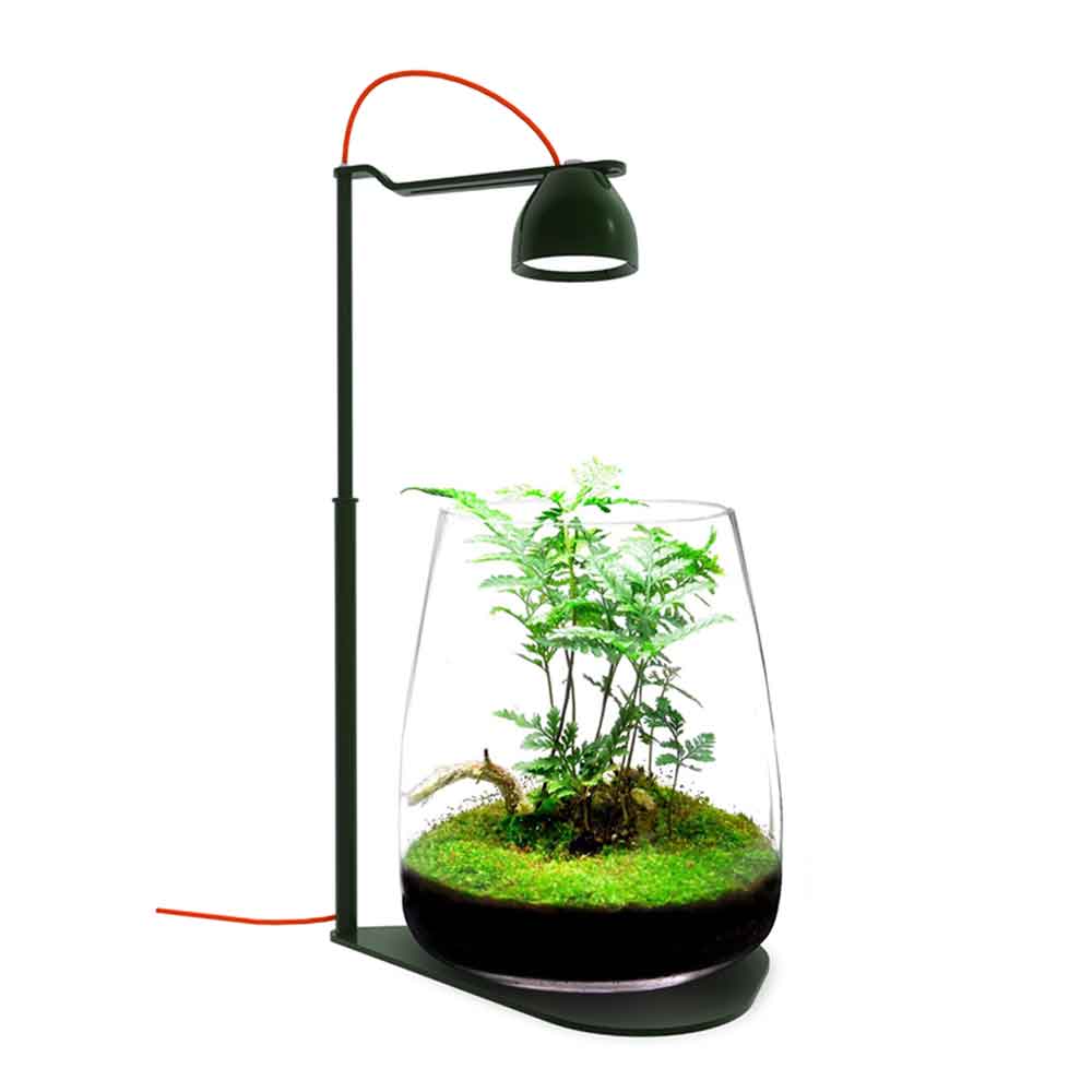 Micmol Drop Bio Grow Suit Black Lampada e Vasca