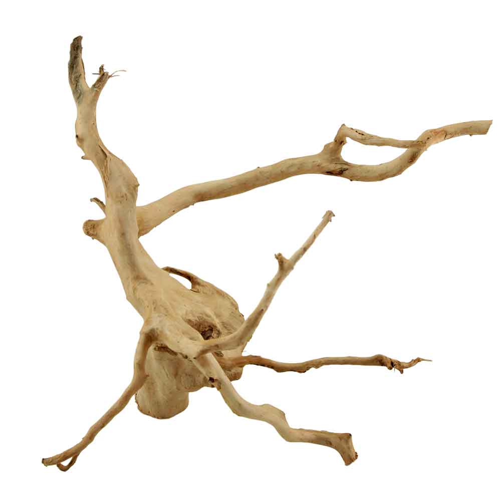 Legno Branch Wood 2182 con foto reale e misure 35x24x31h cm