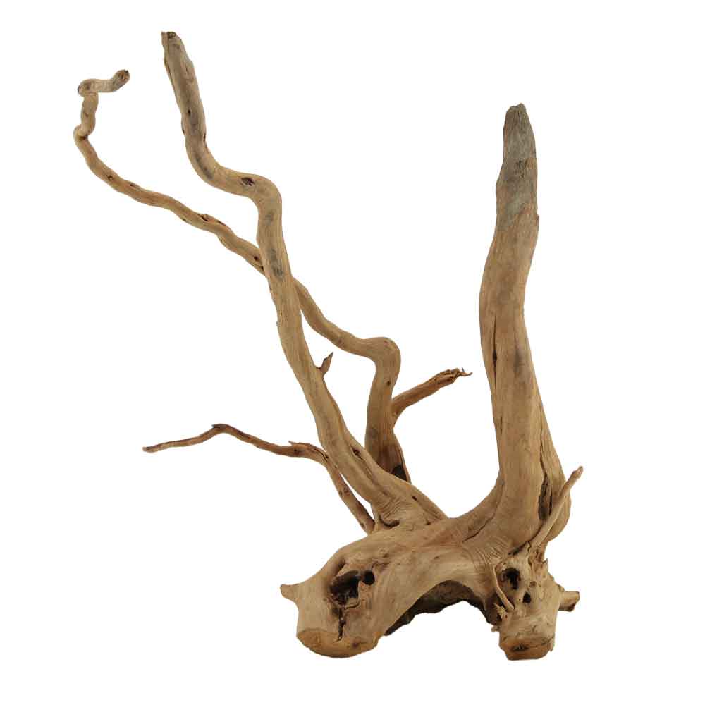 Legno Branch Wood 2201 con foto reale e misure 21x16x30h cm