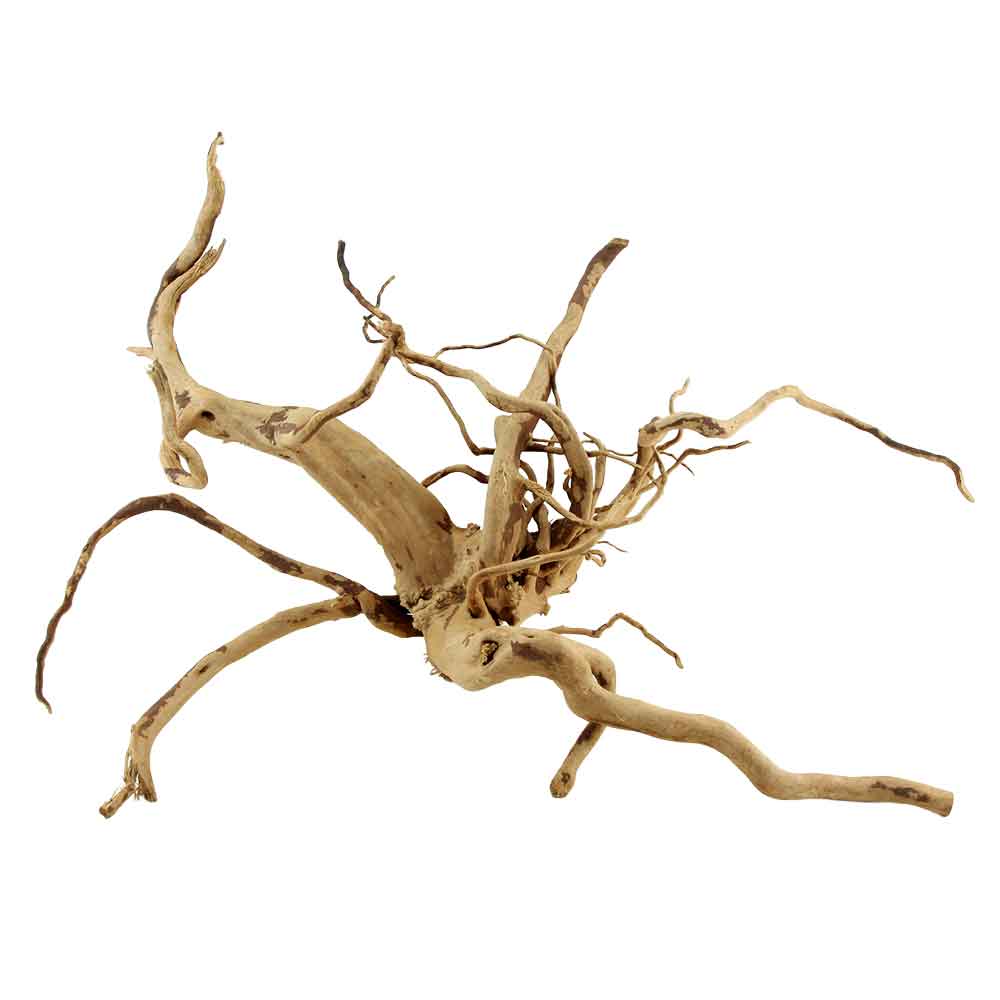 Legno Branch Wood 2206 con foto reale e misure 53x25x36h cm